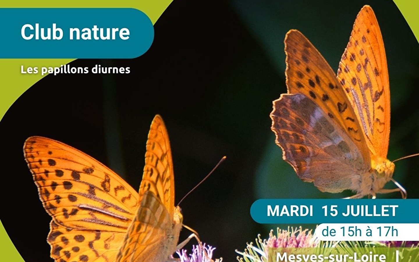 Sortie 'Papillons diurnes'