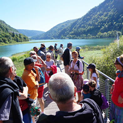 Haut-Bugey - de la Préhistoire au XXème siècle