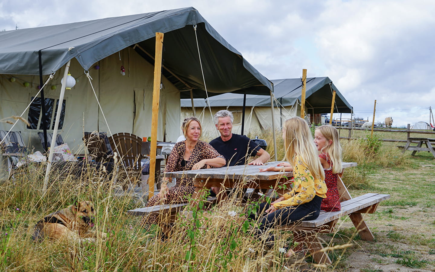 Camping Le Petit Montperroux