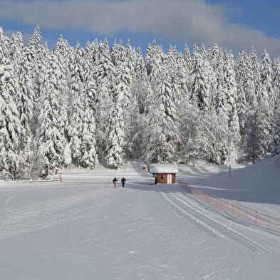 Ecole de Ski Internationale de la Vattay