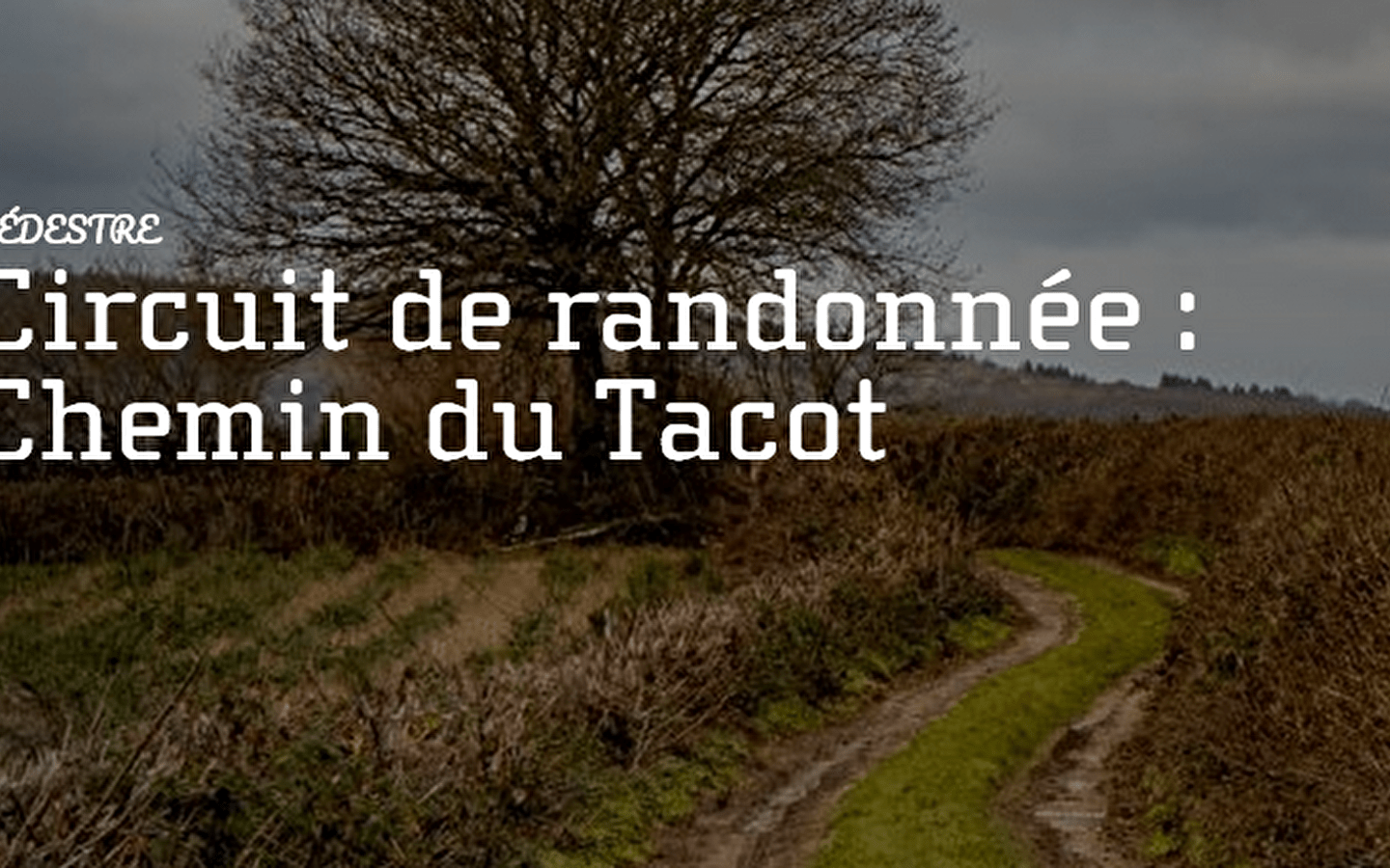Balade du Tacot à la Voie Romaine