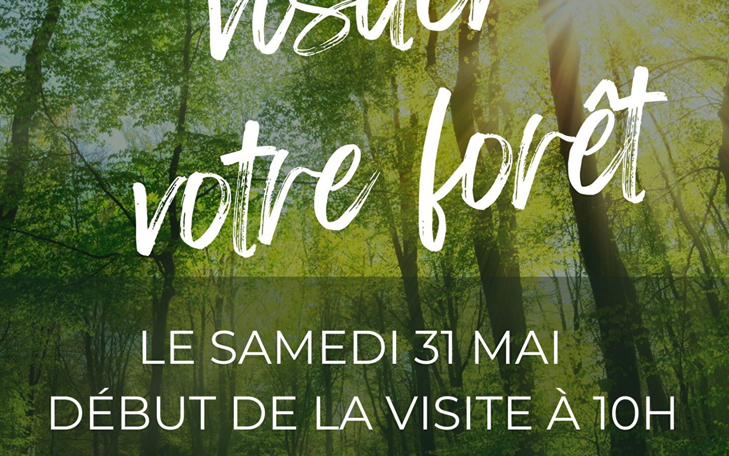 VENEZ VISITER VOTRE FORÊT