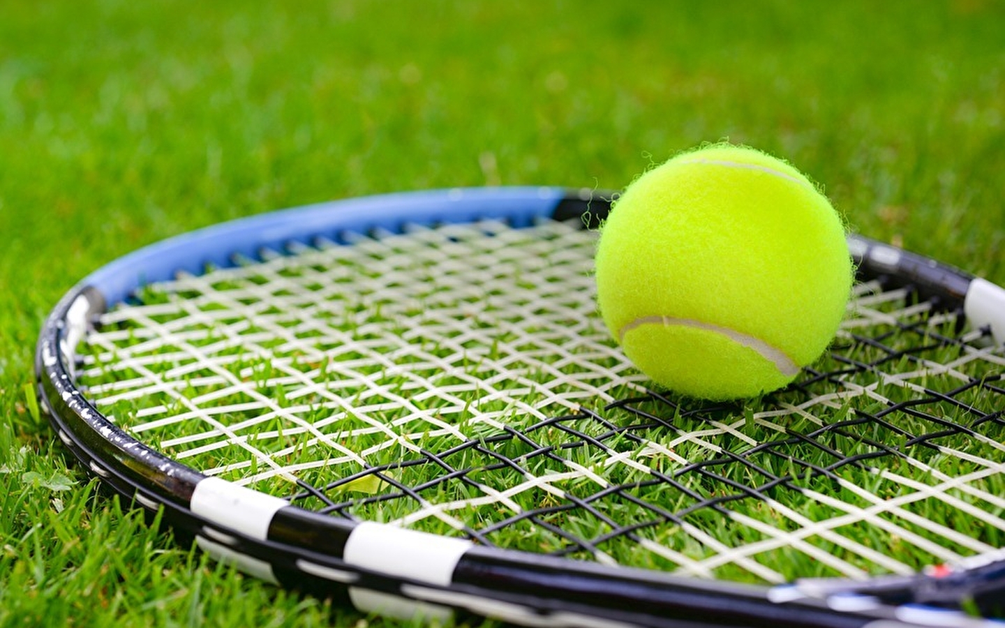Tournoi de tennis adultes
