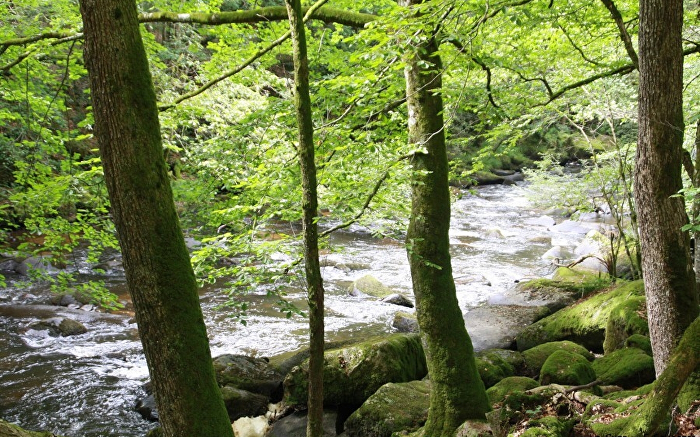 Camping La Croix du Château
