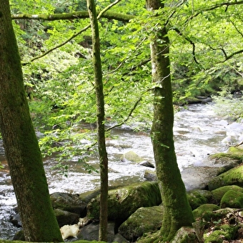 Camping La Croix du Château - DUN-LES-PLACES