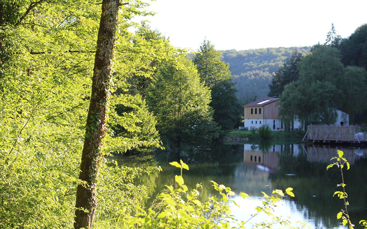 Domaine de la Combe Rossignol