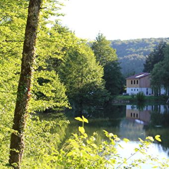 Domaine de la Combe Rossignol - VERNOIS-LES-VESVRES