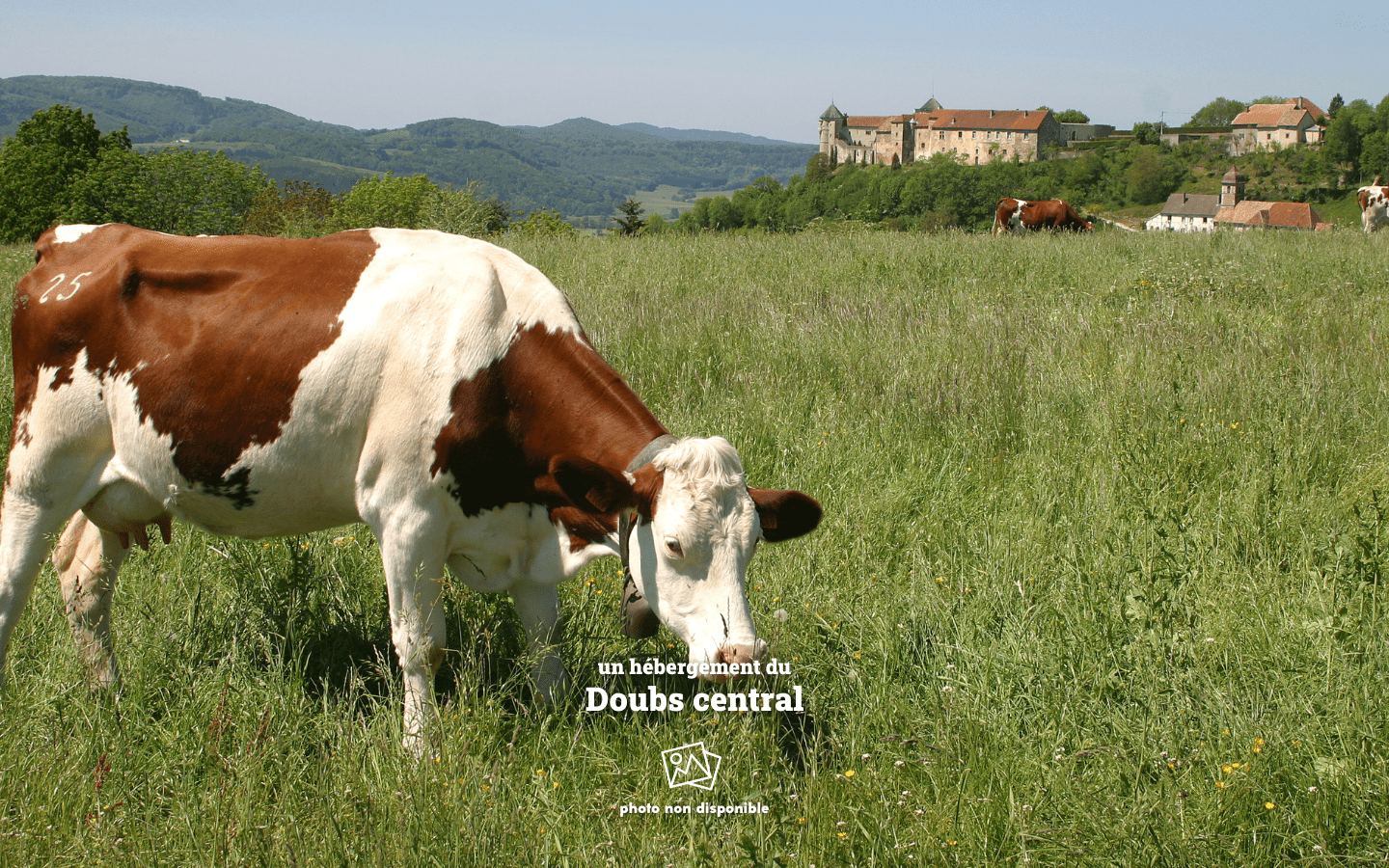 La Roche du Trésor - Espace Loisirs Découverte