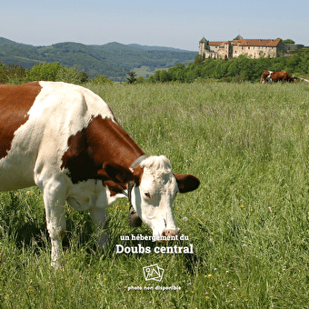 La Roche du Trésor - Espace Loisirs Découverte - ORCHAMPS-VENNES