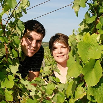 Domaine Desiré Petit - PUPILLIN