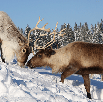 Pass Méta' - Glisse, fun et évasion !