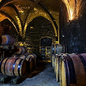 Domaine Pignier - MONTAIGU