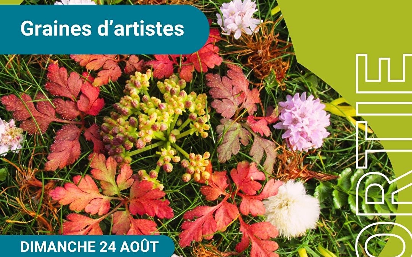 Sortie 'Graines d'artistes'