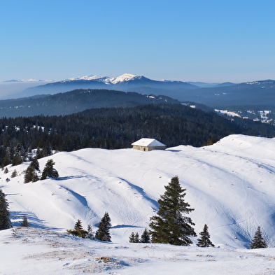 Les grands espaces du Jura Suisse en raquette