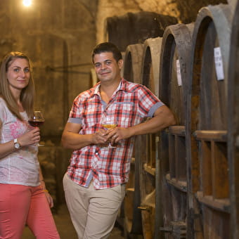 Domaine Pierre Richard par Vincent Richard - LE VERNOIS