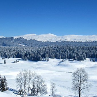 La découverte des Hautes-Combes du Jura en raquettes - SEPTMONCEL LES MOLUNES