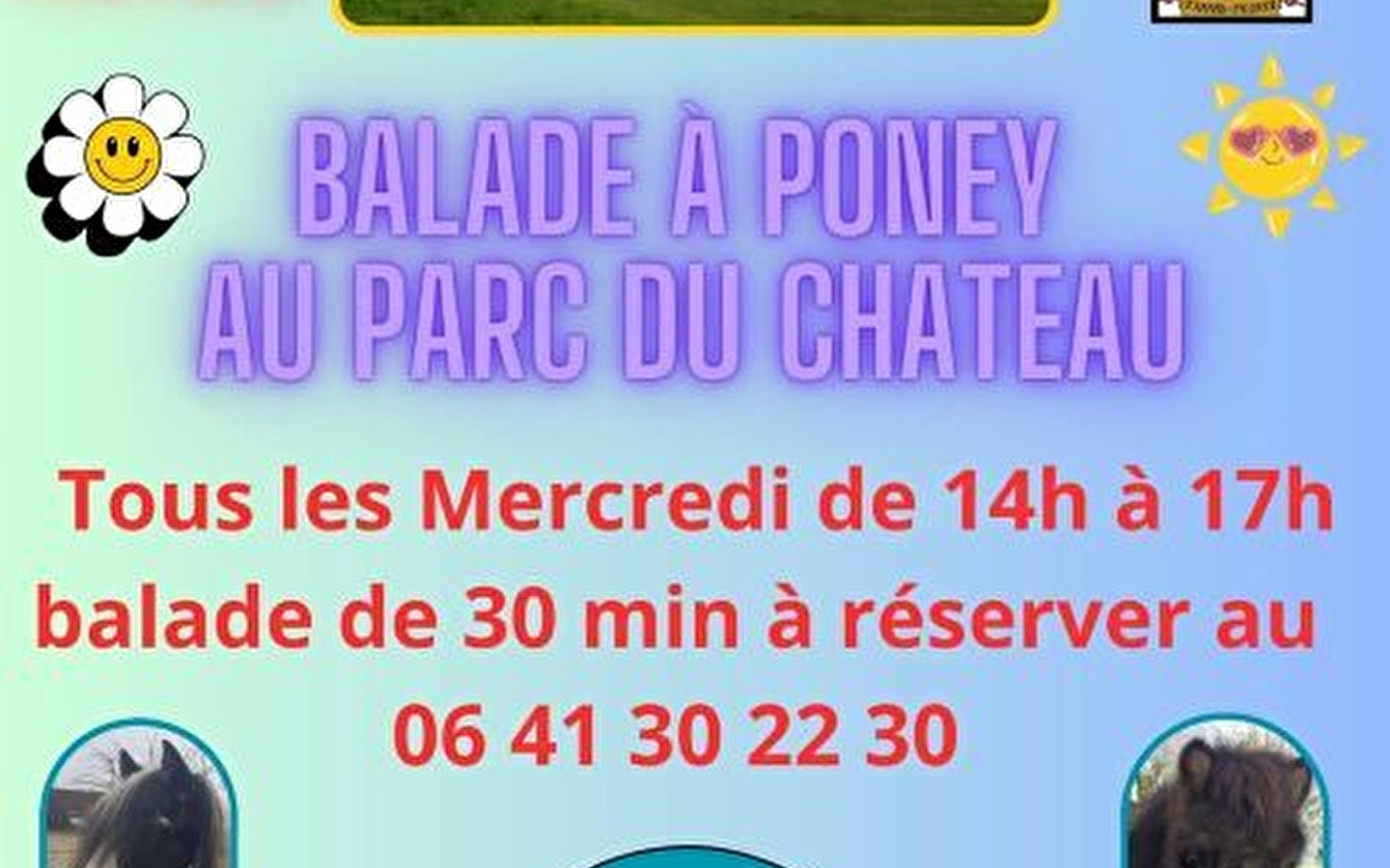 Balade à poneys au château