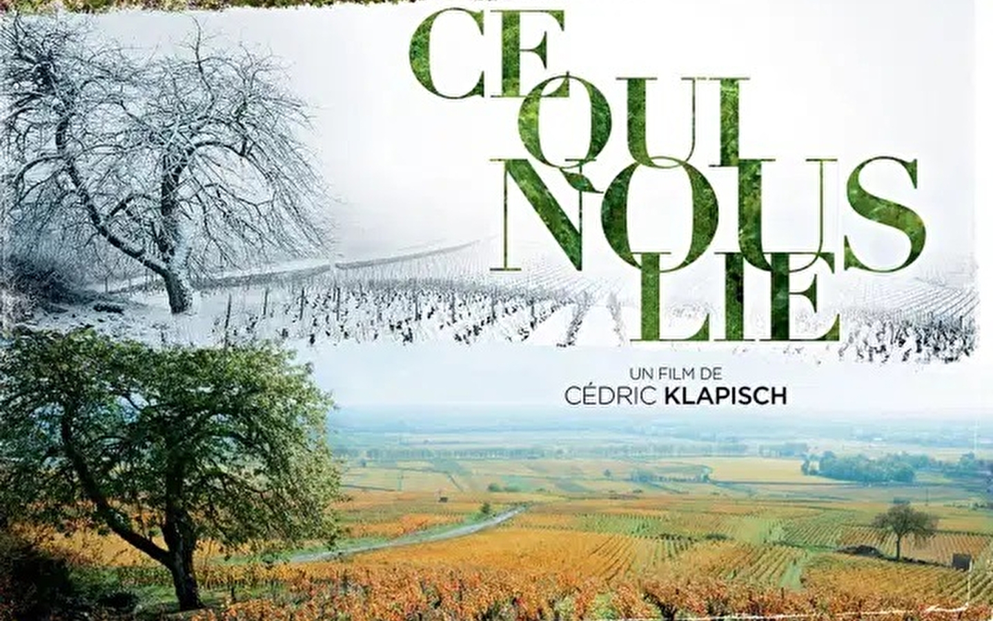 Projection du film 'Ce qui nous lie' - Vignobles en Scène