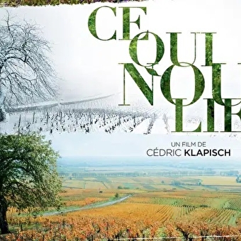Projection du film 'Ce qui nous lie' - Vignobles en Scène - SANTENAY