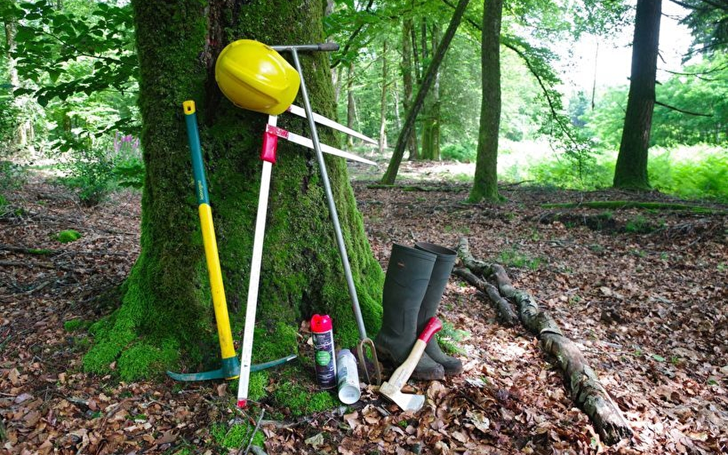 Dans la peau d'un forestier
