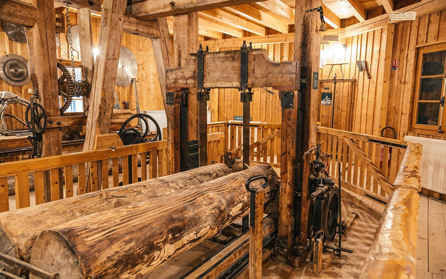 Voyage captivant au pays des boisseliers où l'épicéa est roi!