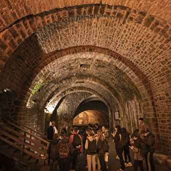 Les rendez-vous scientifiques: une journée qui croise patrimoine industriel et histoire scientifique autour d’une question concrète : comment conserver et protéger les aliments ? De la production du sel à la Grande Saline aux découvertes de Louis Pasteur - SALINS-LES-BAINS