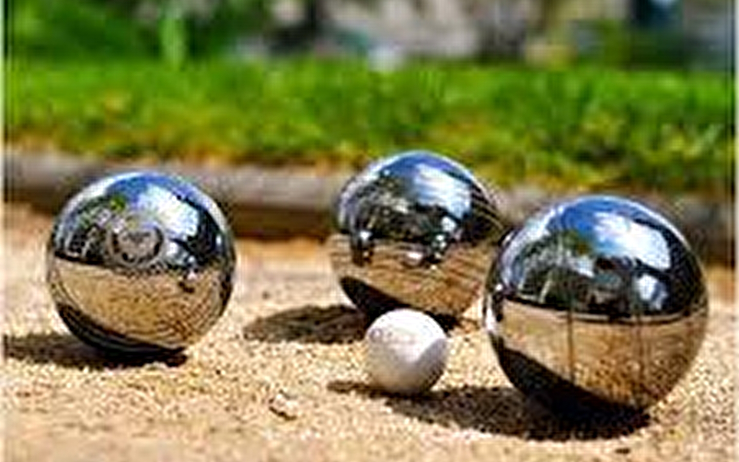 Concours de pétanque