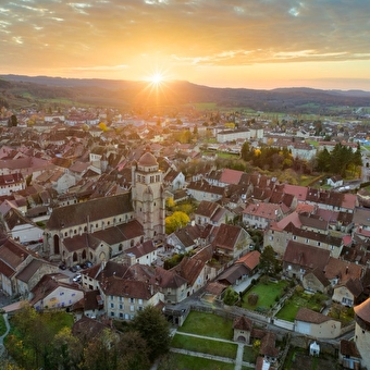 Explorez vos sens au Coeur du Jura - FAY-EN-MONTAGNE