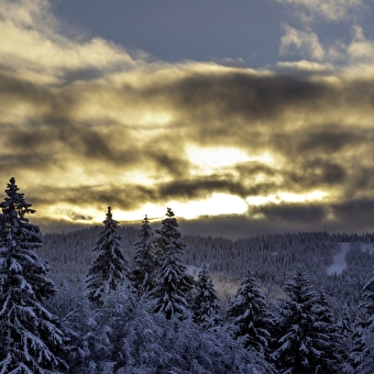 Nouvel An - Fiesta dans le Jura - 