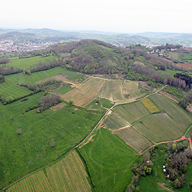 Domaine Pignier