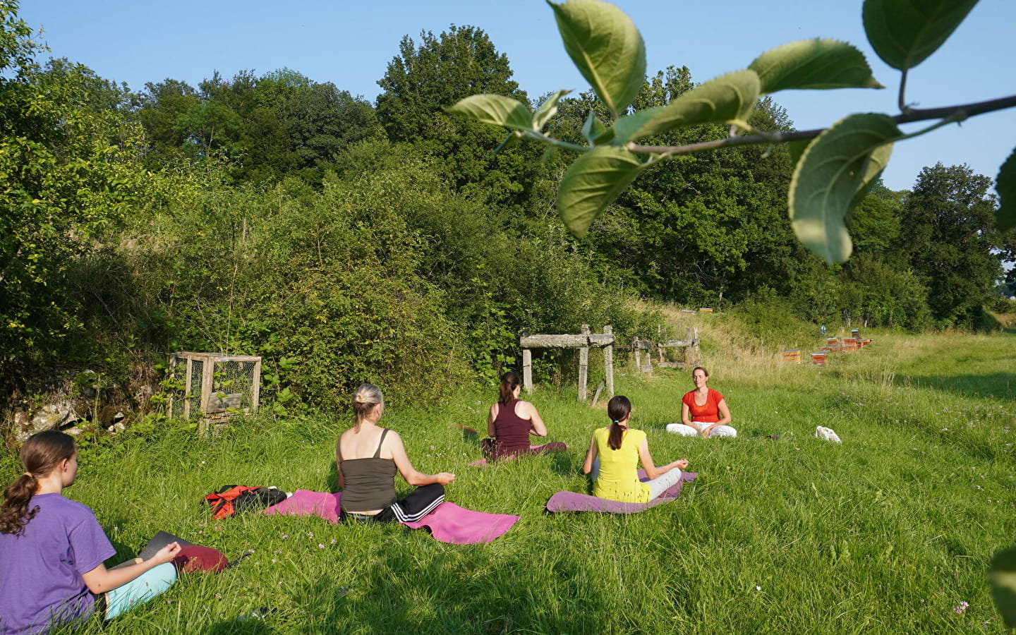 Yoga, ressourcement et découverte de l'univers des abeilles