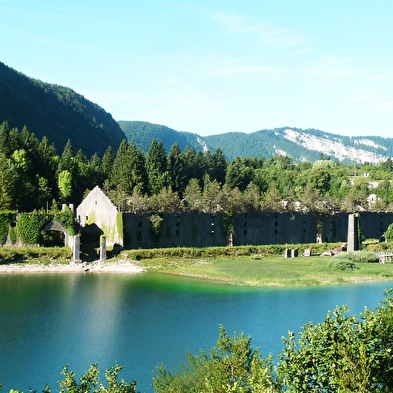 Haut-Bugey - de la Préhistoire au XXème siècle