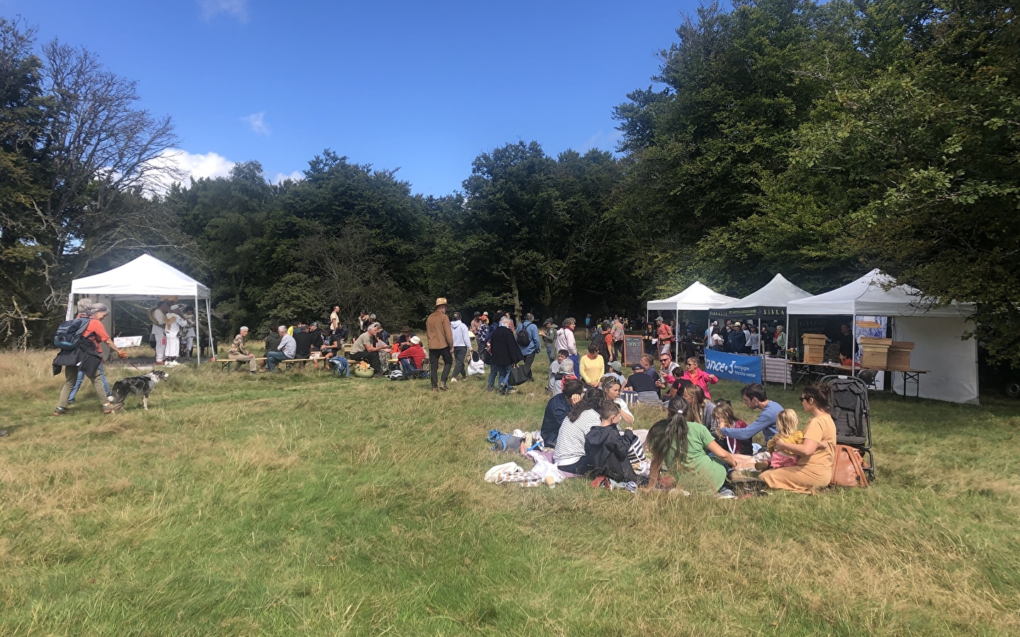 Fantastic Picnic à Bibracte