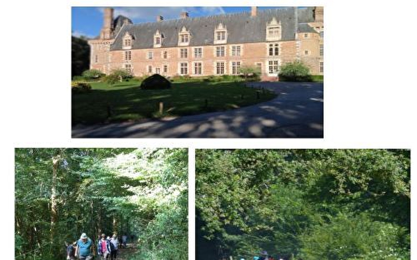 Randonnée 3 jours en Puisaye avec des ânes