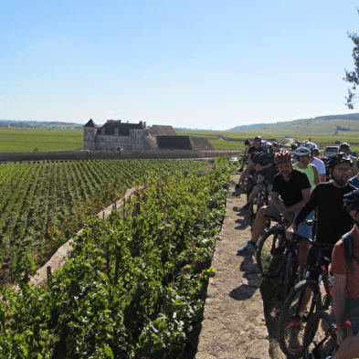 Velovitamine - Balade Oenologique à vélo 'Côte de Nuits 1er Cru' Dijon à Gevrey-Chambertin