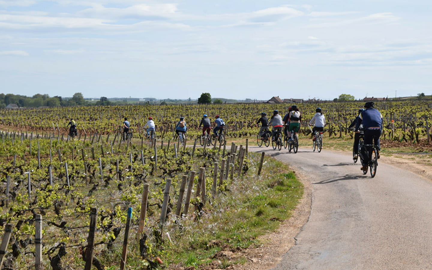 Velovitamine - Balade Oenologique à vélo 'Côte de Nuits 1er Cru' Dijon à Gevrey-Chambertin