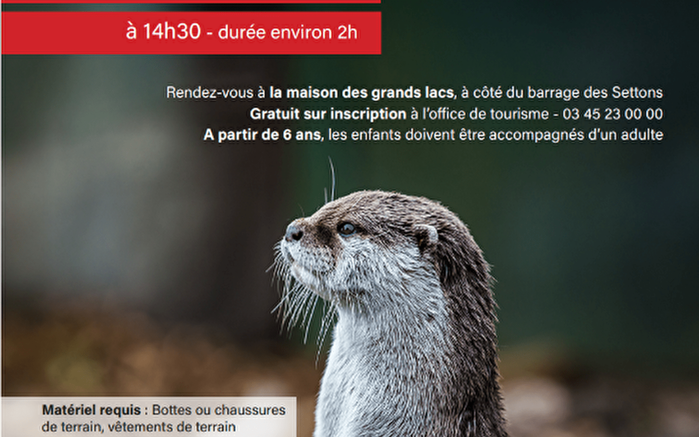 Balade découverte des indices de présence de la loutre d’Europe