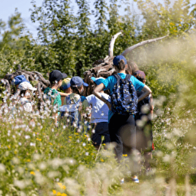 Activités éducation à l’environnement et au développement durable