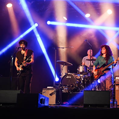 FESTIVAL BLUES EN LOIRE 