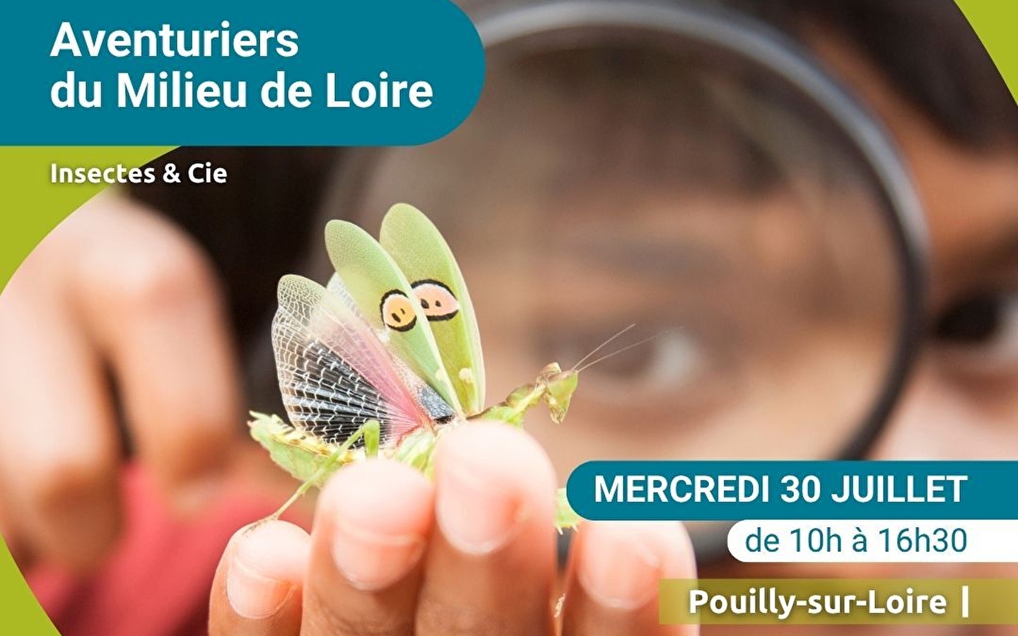 Les Aventuriers du Milieu de Loire : journée nature pour les 6-12 ans, spéciale 'Insectes & Cie'