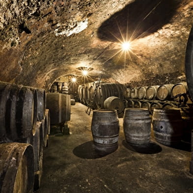 Domaine Jacques Tissot