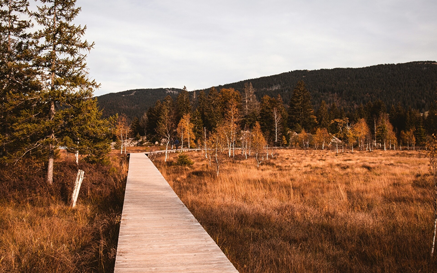 Séjour Rando/bien-être d'automne