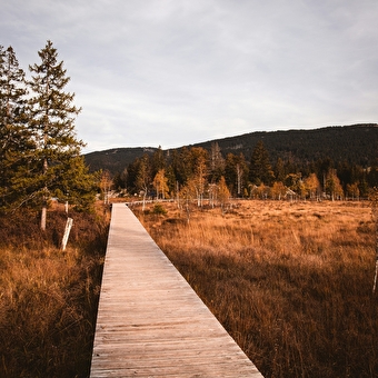 Séjour Rando/bien-être d'automne - 