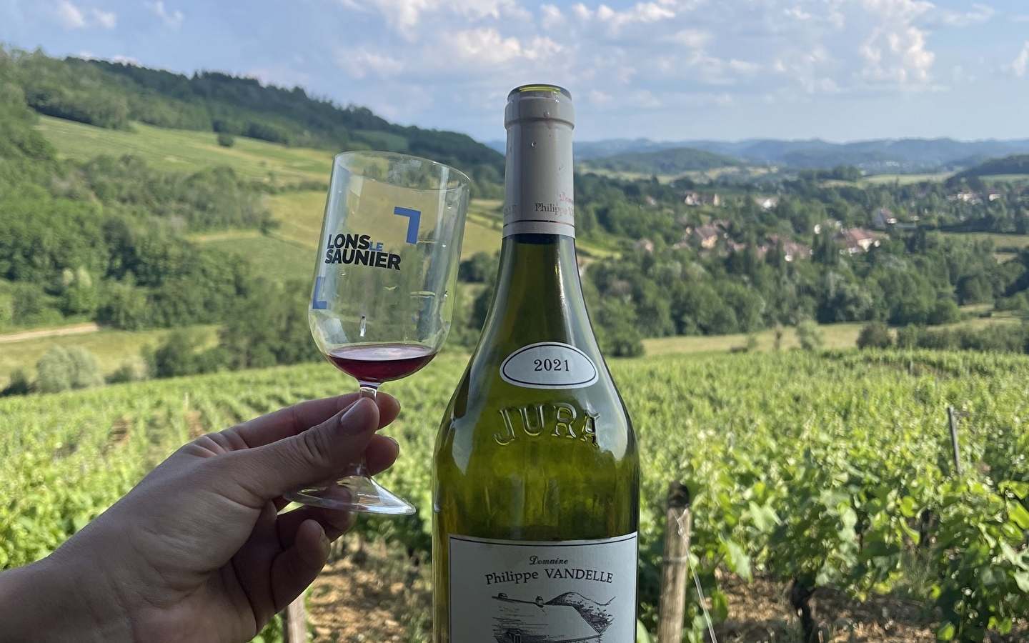 Domaine Philippe Vandelle