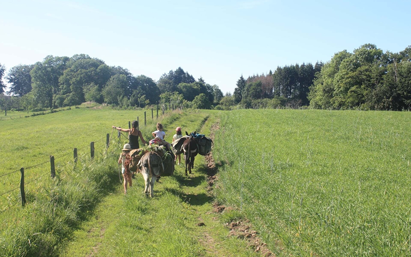 Les P'tits Sentiers Ân'imés