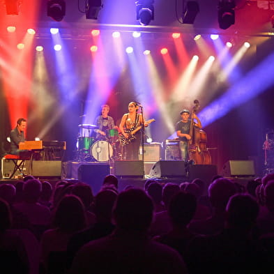FESTIVAL BLUES EN LOIRE 