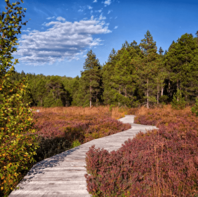 Séjour Rando/bien-être d'automne