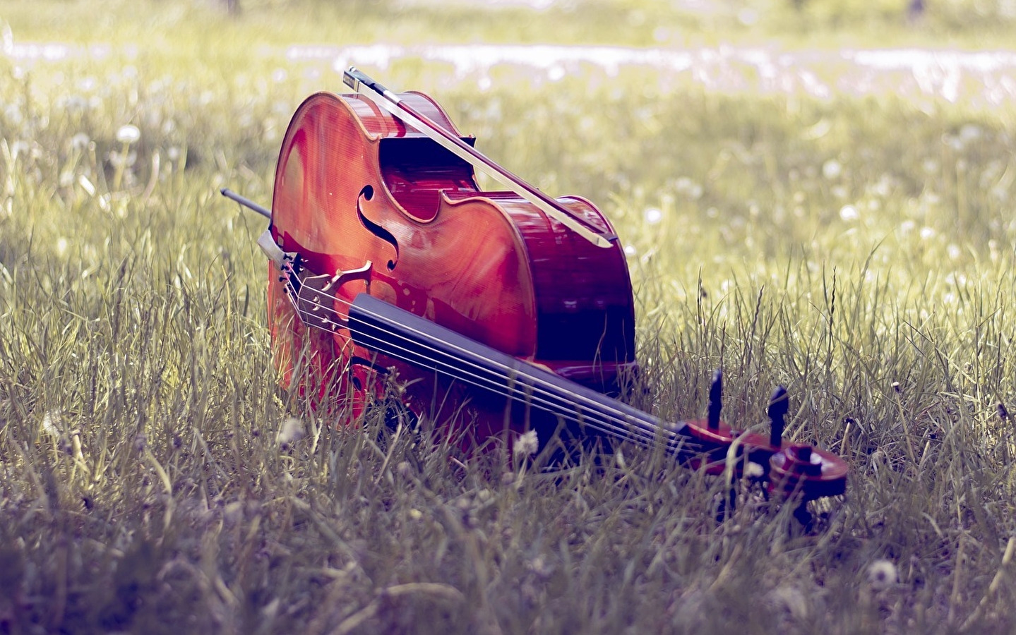 Fête de la musique