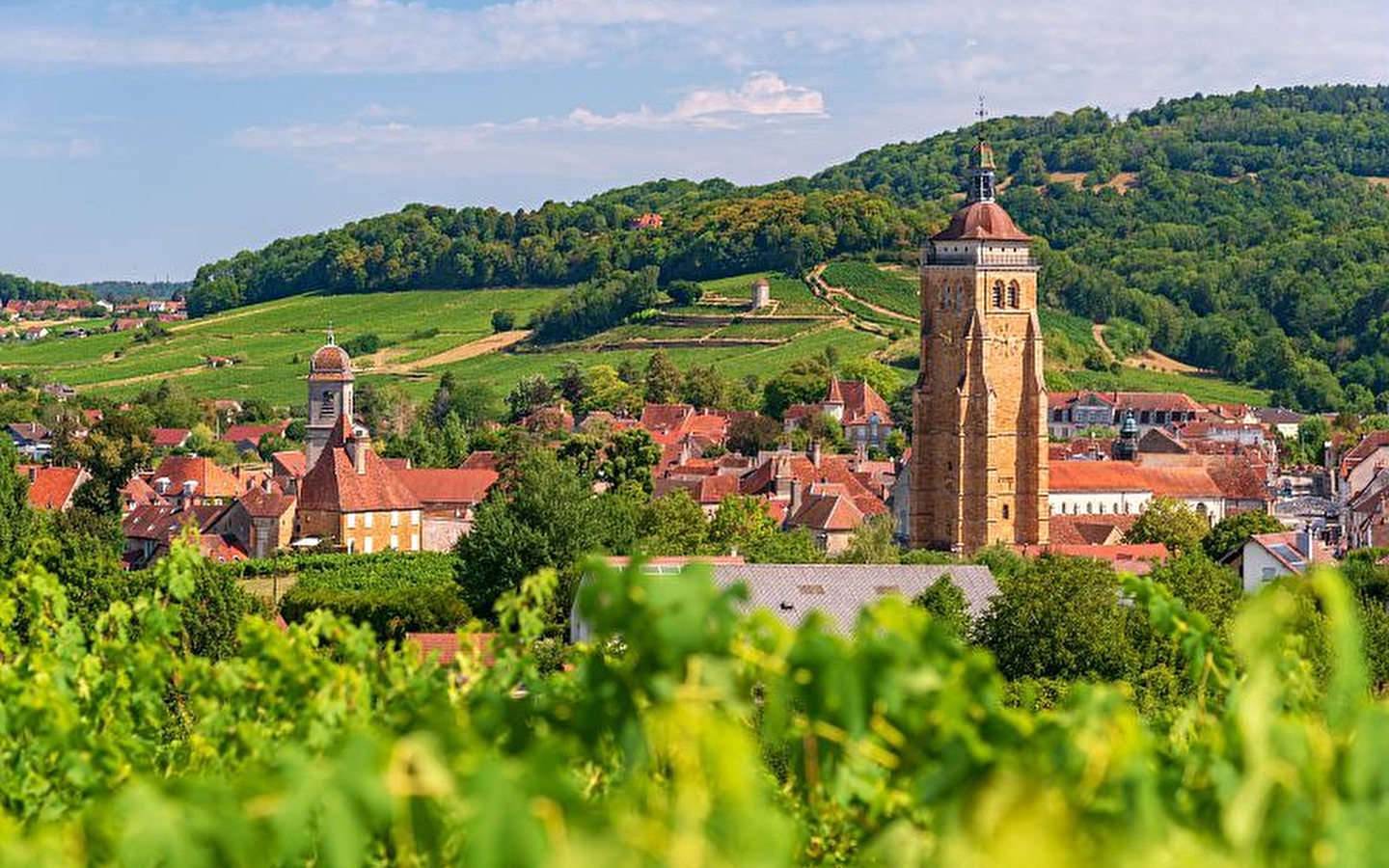 Escapade dans le JURA : terroir et comté