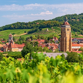 Escapade dans le JURA : terroir et comté -